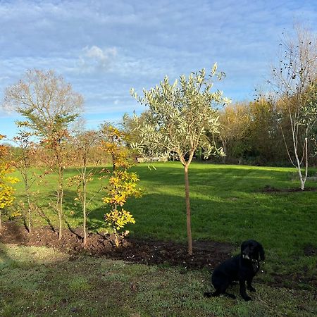 Idyllic Secluded Hideaway With Countryside Views On The Edge Of The Cotswolds Villa Hailey Eksteriør bilde