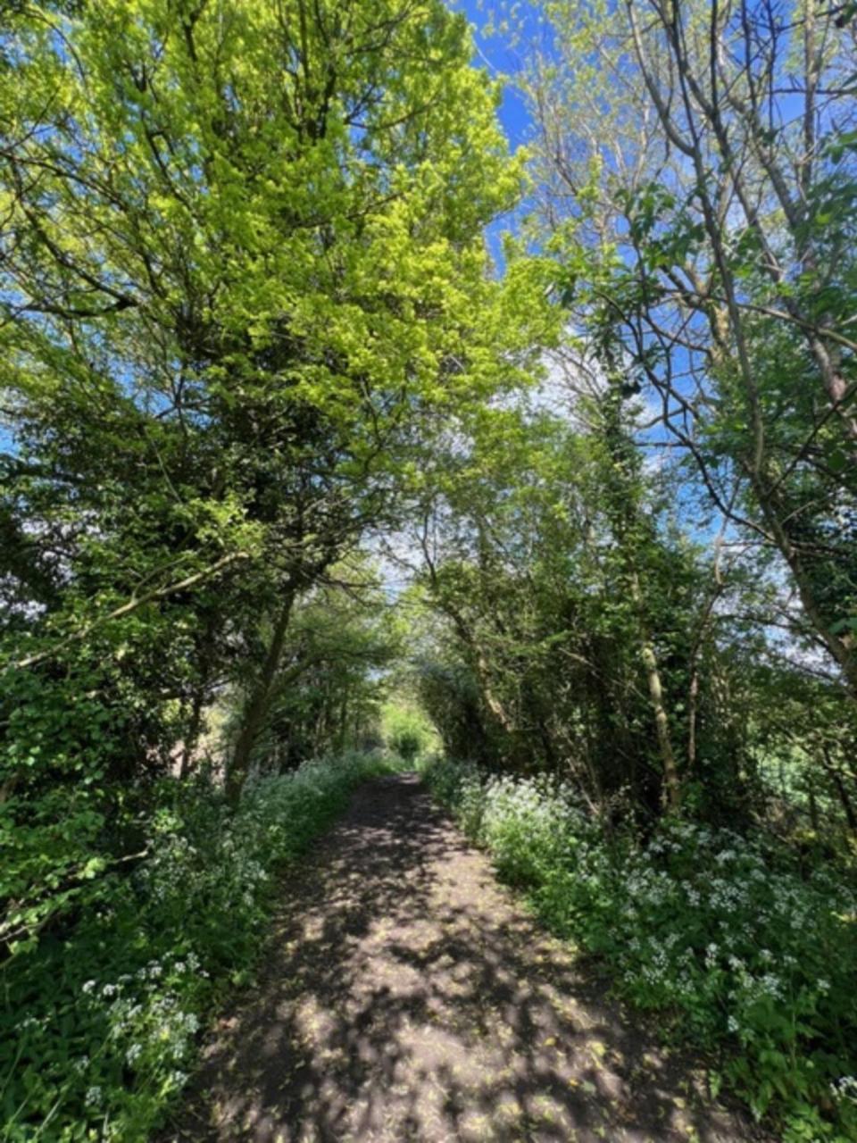 Idyllic Secluded Hideaway With Countryside Views On The Edge Of The Cotswolds Villa Hailey Eksteriør bilde